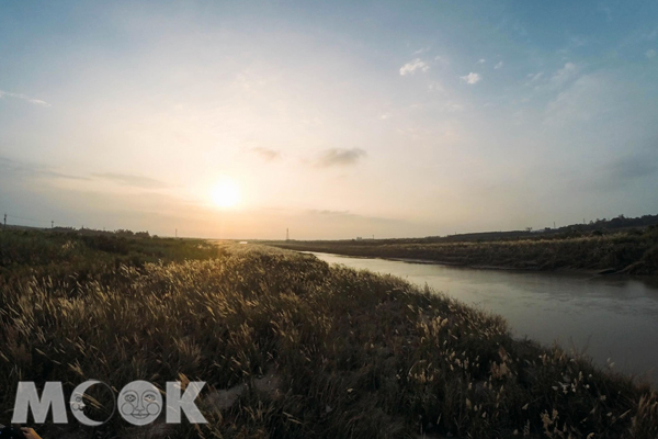 八掌溪的沙洲上長滿了甜根子草，伴著夕陽餘暉美景，景色動人。（圖片提供／Vic）