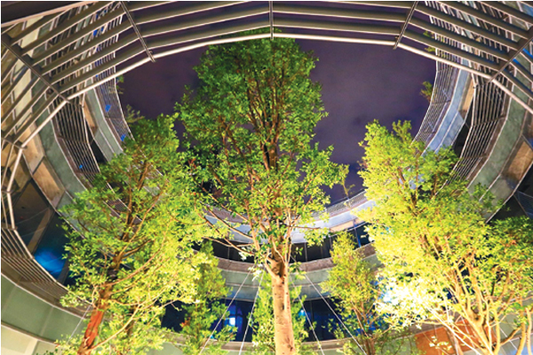 高雄市立圖書館新總館在天井種大樹營造「館中樹、連天井」風景絕佳。(圖片來源／高雄市文化局）