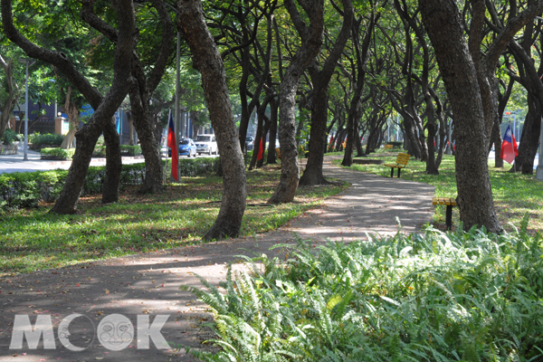 在台灣欒樹庇蔭下，人行走道綠意盎然，營造了忙碌城市中的寫意角落。(攝影／MOOK景點家廖啟佑）