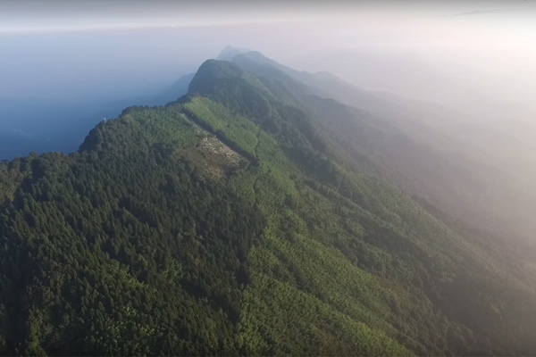 溪頭風景區空拍影像。(圖片來源/Taiwan form above)