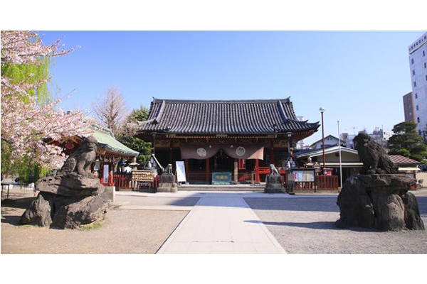 活動將在東京淺草神社舉行。（圖片來源／umeshu-matsuri）