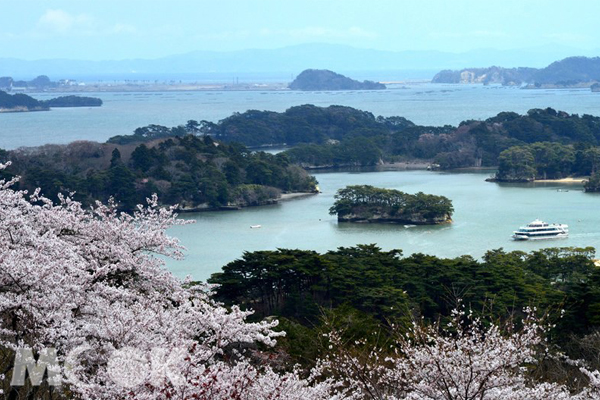 宮城縣松島由眾多島嶼所組成。(圖片提供／樂天旅遊)