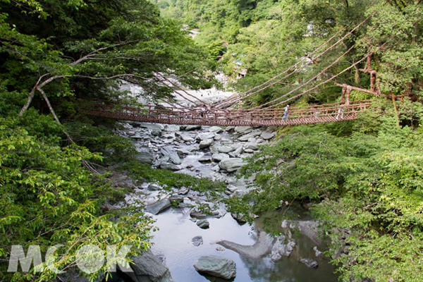 德島縣為中世紀時部族大戰後的避難之地。(圖片提供／樂天旅遊)