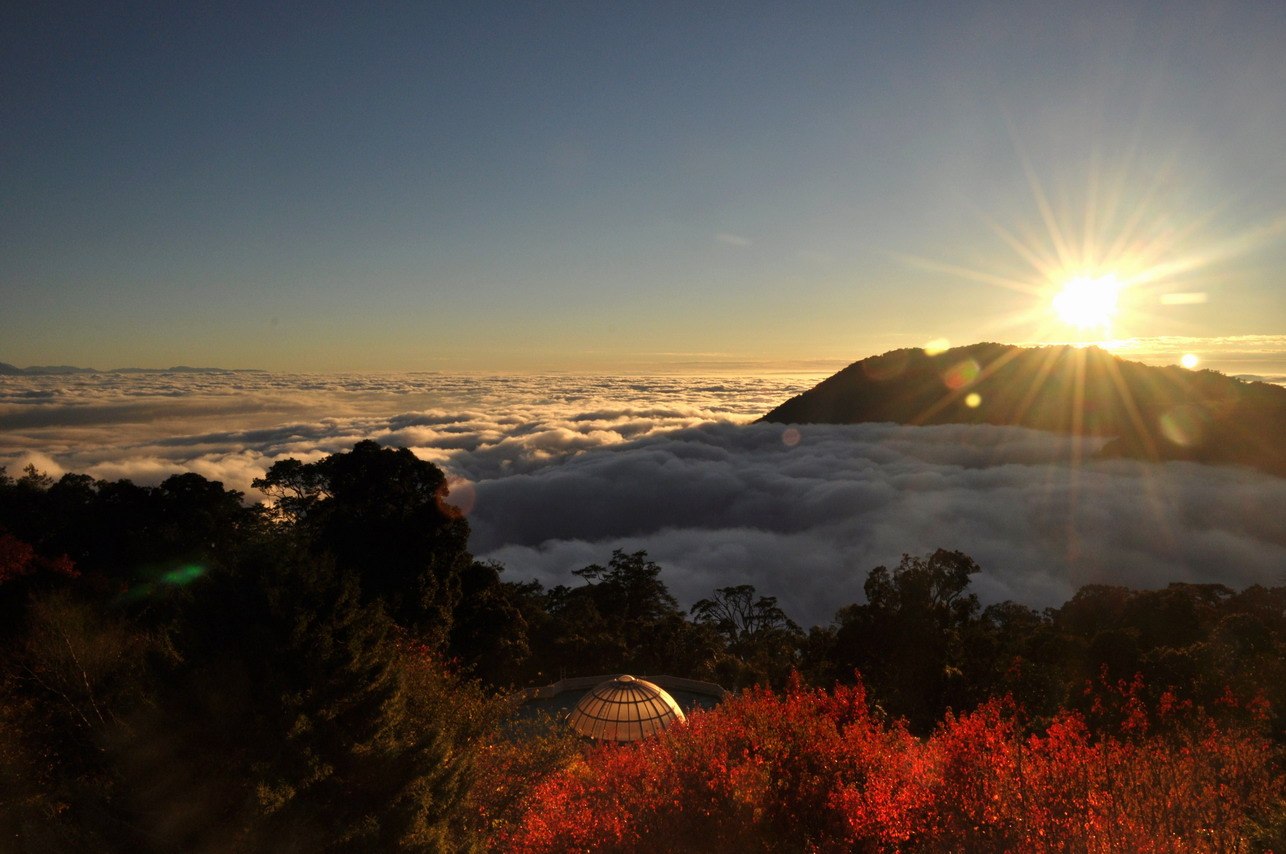 秋天打雪山森林遊樂園區的日出、雲海、楓紅組成如仙境般的美麗景色。(圖片來源／conservation.forest）