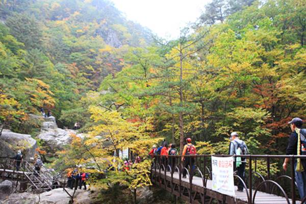 五臺山。（圖片來源／韓國觀光會社）