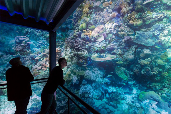 不用潛入水底，就能將世界最大的珊瑚礁風景收進眼底。（圖片來源／asisi 攝影／ Tom Schulze）