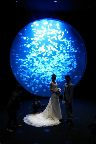 夢幻的水族館常吸引新人來此拍攝婚紗照。（圖片來源／鶴岡市立加茂水族館）
