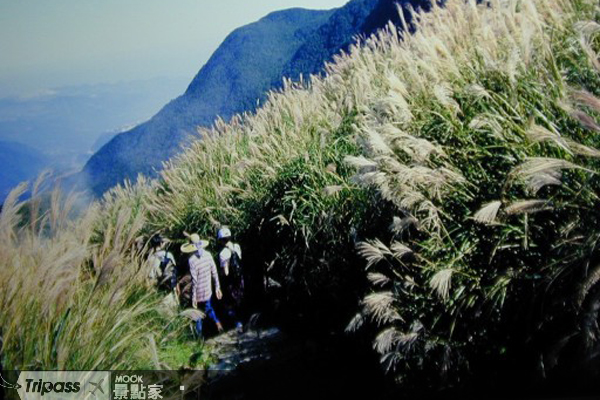 魚路古道是清末民初往返金山的要道。（圖片提供／墨刻出版社）