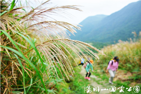 魚路古道是清末民初往返金山的要道。（圖片來源／陽明山國家公園）