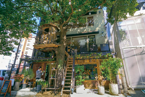 東京市中心裡發現樹屋。（圖片來源／Fleur Universelle）