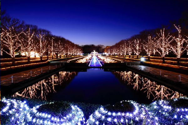 今年昭和紀念公園以文藝復興為主題打造冬季彩燈活動。(圖片來源／retrip）