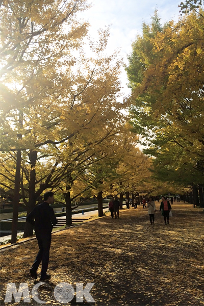秋天的東京，多了幾分寫意悠閒。（圖片提供／張妹妹）