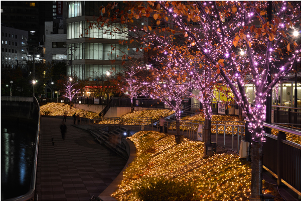 粉色、金色彩燈點亮起點綴目黑川夜間景色。（圖片來源／minna-no-illumi）