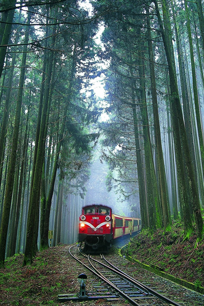 阿里山森林小火車