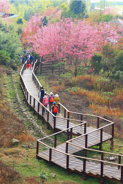 阿里山國家自然公園