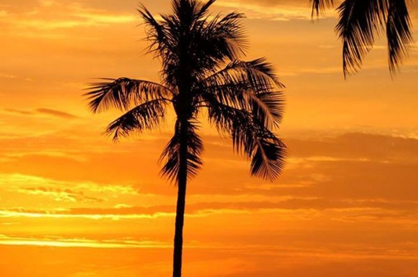 欣賞夏威夷威基基海灘迷人的夕陽美景。(圖片來源／GO USA)