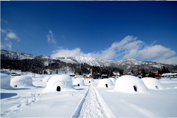 每年冬季雪地上約會有20座的雪屋。(圖片來源／iiyama-ouendan)