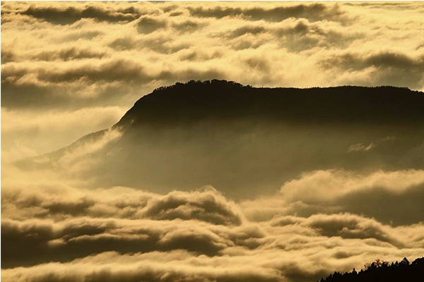 阿里山雲海場面驚人。（圖片來源／阿里山國家森林遊樂區）