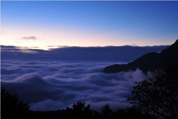 晨間時分雲朵呈現冷色調的宛如一片寂靜海洋。（圖片來源／阿里山國家森林遊樂區）