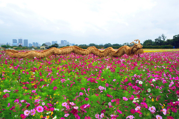 在中壢、平鎮、大園及蘆竹等四區花海陸續綻放。（圖片來源／桃園花彩節蘆竹場・奇幻花園）