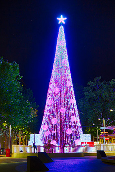 澳洲坎培拉聖誕樹。（圖片來源／guinnessworldrecords）