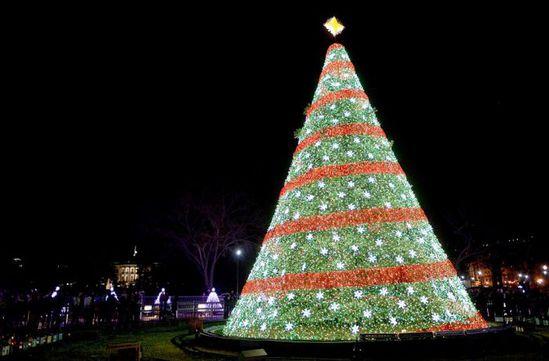 美國白宮外的國家聖誕樹。（圖片來源／dailymail）