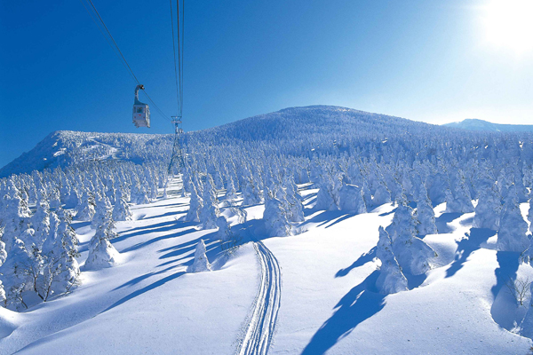 遊客可以透過搭乘空中纜車，一覽樹冰風景。(圖片來源／travel.japan-i）