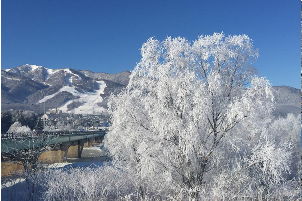 23日北海道出現入冬以來最低溫。（圖片來源／富良野觀光協會）