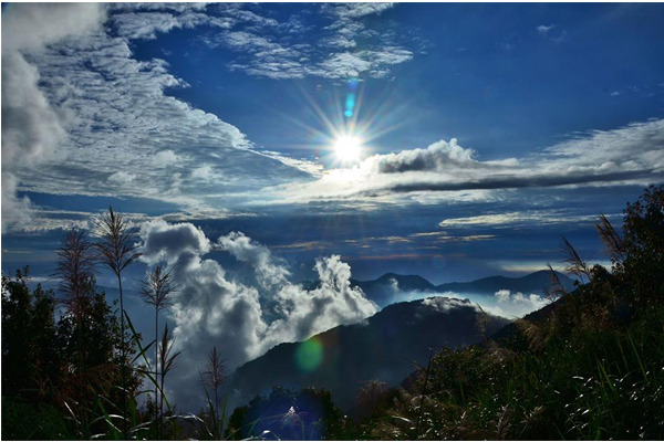 來到阿里山，白天的太陽雲海亦是不能錯過的美景。（圖片來源／阿里山國家森林遊樂區）