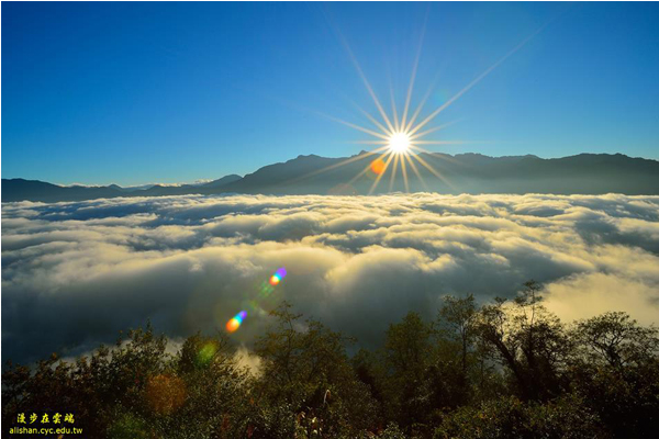 阿里山雲海。(圖片提供／漫步在雲端的阿里山黃源明)