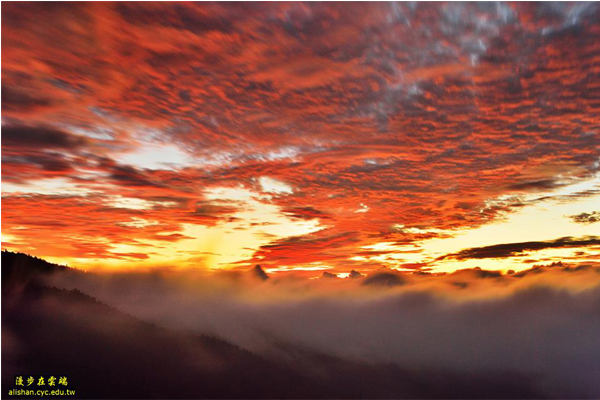 阿里山火燒雲景色。(圖片提供／漫步在雲端的阿里山黃源明)