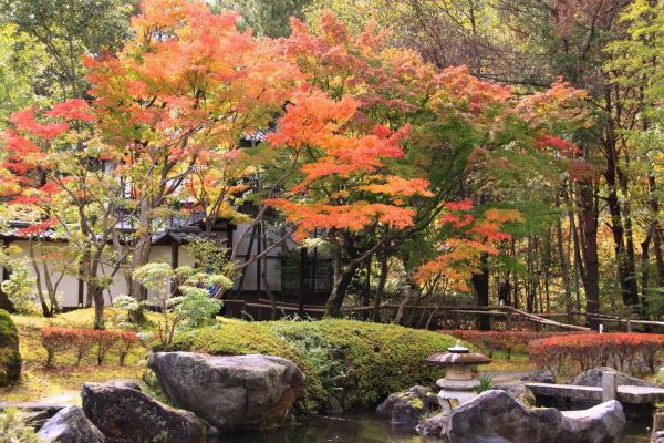 還原江戶時代庭園場景，愜意宜人。(圖片來源／Edo Wonderland 日光江戸村)