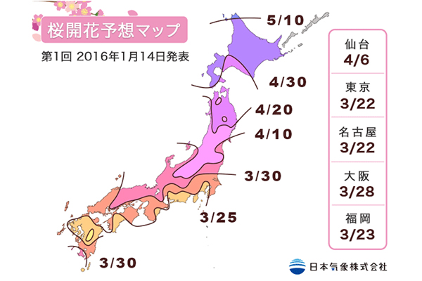 2016年日本櫻花花期預測。（圖片提供／日本氣象株式會社）