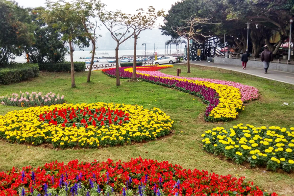 三大必賞賞花點公開。（圖片來源／新北市政府水利局）