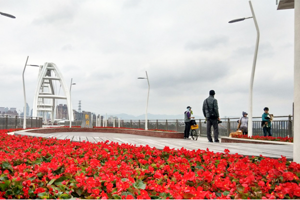 艷紅的花毯，為寒冬帶來一點溫暖氣息。（圖片來源／新北市政府水利局）