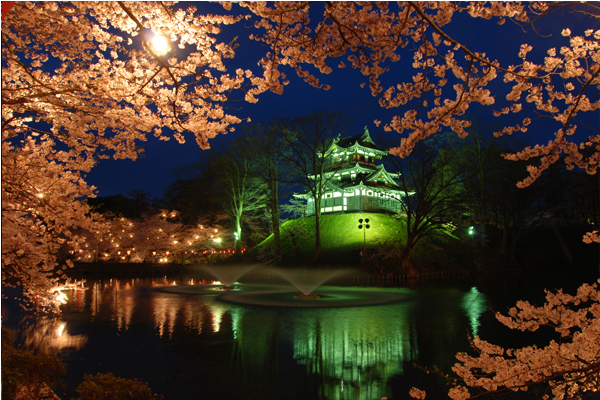 2016年高田公園賞鷹活動從4月4日開始。(圖片來源／week)