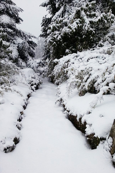 台北地區於陽明山將有機會見到雪景。（圖片來源／登峰造極　雪霸之美）