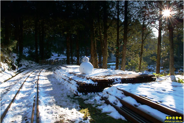2005阿里山降雪，一片銀白美不勝收。(圖片提供／漫步在雲端的阿里山黃源明)