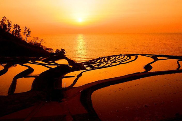 靠海的梯田，每到日落時分都會被夕陽照得通紅。（圖片來源／senmaida.wajima-kankou）