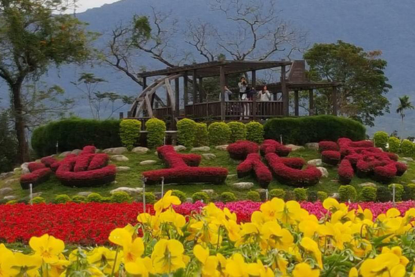 東台灣得天獨厚的自然美景，搭配繽紛花毯，更加美麗。（圖片來源／花東農遊趣 跟著節氣趣旅行Let’s go）