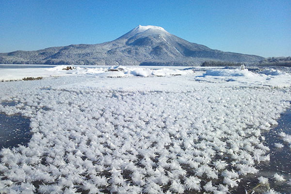 寒流發威北海道阿寒湖霜花綻放。(圖片來源／hokkaido-labo）