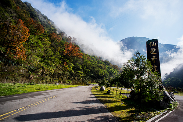 八仙山森林遊樂區鄰近谷關溫泉風景區，是中部最佳的賞櫻秘境。（圖片來源／行政院林務局）