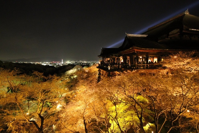 清水寺壯觀的建築物，搭配夜櫻景觀，美麗的讓人難忘。(圖片來源／deepjp）