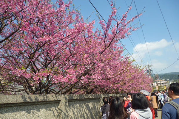 竹林步道入口。（圖片來源／台北市大地處）