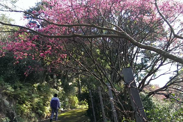 永春寮步道。（圖片來源／台北市大地處）