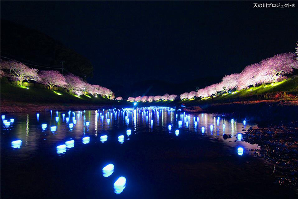 河裡的LED螢光球隨河流動，像流星般在夜裡流動。(圖片來源／夜桜・流れ星）