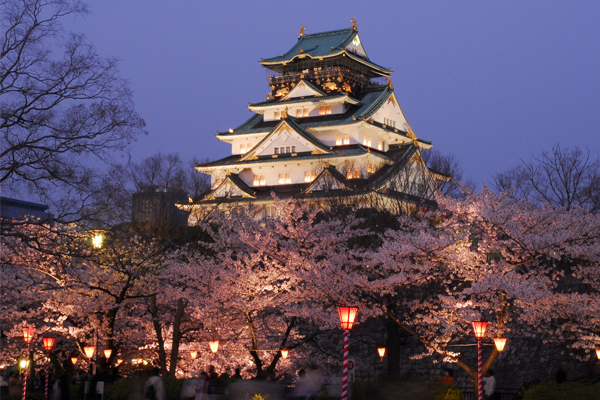 大阪城公園種櫻花樹美景。(圖片來源／yakei-kabegami)