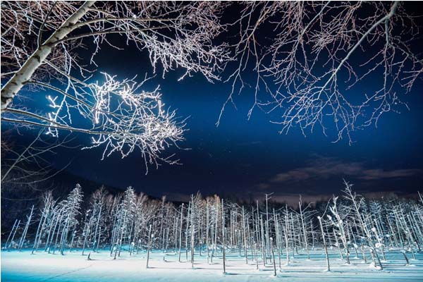 冬天的北海道，銀白模樣景色相當夢幻。（圖片來源／visit-hokkaido）
