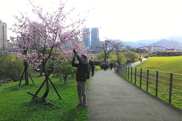 把握周末假期，來到新店運動公園踏青賞花。（圖片來源／高管好漾）