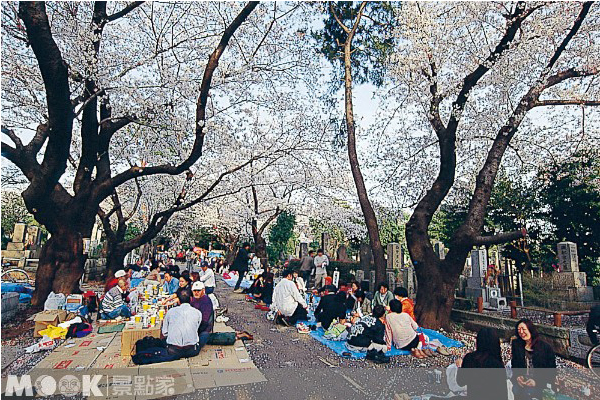 青山靈園 (圖片提供／墨刻編輯部)